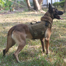 Load image into Gallery viewer, ICEFANG Tactical Dog Operation Harness with 6X Buckle,Dog Molle Vest with Handle,3/4 Body, Hook and Loop Panel for ID Patch,No Pulling Front Clip