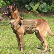 Load image into Gallery viewer, ICEFANG Tactical Dog Harness,Hook and Loop Panels for Patch,Working Dog MOLLE Vest with Handle,No Pulling Front Leash Clip,6 x Buckle