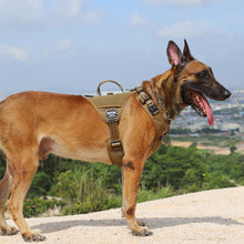 Load image into Gallery viewer, ICEFANG GN8 Tactical Dog Harness with 4X Metal Buckles for Small to Large Dogs,Reflective in Training Walking K9 Vest,No-Pull Front Leash Clip,Adjustable Pet Harness with Hook and Loop Panels