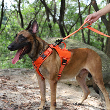 Load image into Gallery viewer, ICEFANG GN8 Tactical Dog Harness with 4X Metal Buckles for Small to Large Dogs,Reflective in Training Walking K9 Vest,No-Pull Front Leash Clip,Adjustable Pet Harness with Hook and Loop Panels