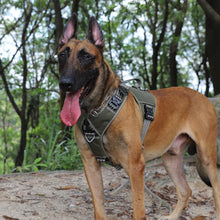 Load image into Gallery viewer, ICEFANG GN8 Tactical Dog Harness with 4X Metal Buckles for Small to Large Dogs,Reflective in Training Walking K9 Vest,No-Pull Front Leash Clip,Adjustable Pet Harness with Hook and Loop Panels