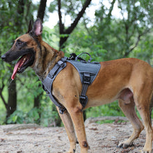 Load image into Gallery viewer, ICEFANG GN8 Tactical Dog Harness with 4X Metal Buckles for Small to Large Dogs,Reflective in Training Walking K9 Vest,No-Pull Front Leash Clip,Adjustable Pet Harness with Hook and Loop Panels