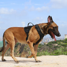 Load image into Gallery viewer, ICEFANG GN8 Tactical Dog Harness with 4X Metal Buckles for Small to Large Dogs,Reflective in Training Walking K9 Vest,No-Pull Front Leash Clip,Adjustable Pet Harness with Hook and Loop Panels