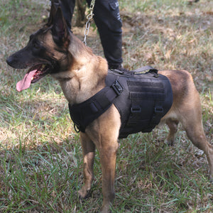 ICEFANG Tactical Dog Operation Harness with 6X Buckle Dog Molle Vest w ICEFANGDIRECT